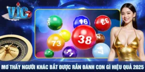 Mơ thấy rắn hổ mang cắn - Tìm kiếm con số nên đánh 2025